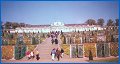 [Click to enlarge]